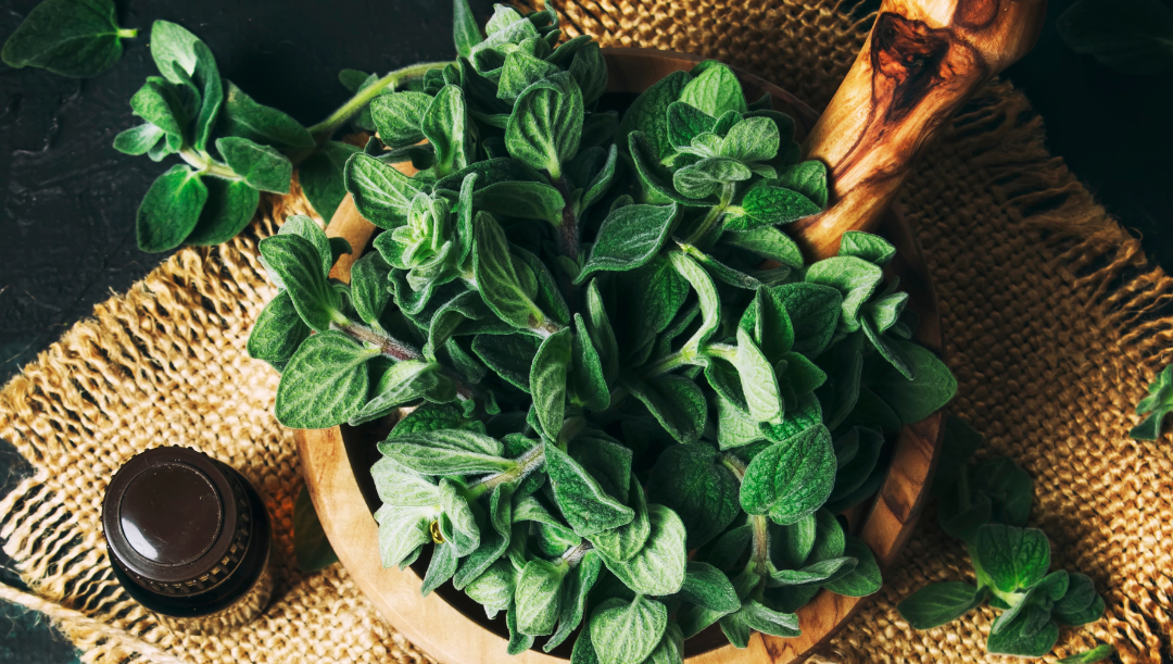 The Health Benefits of Oregano and a DIY recipe