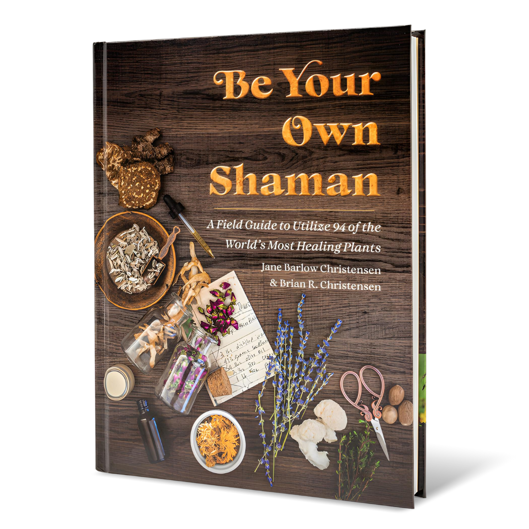 Be Your Own Shaman - 1st Edition