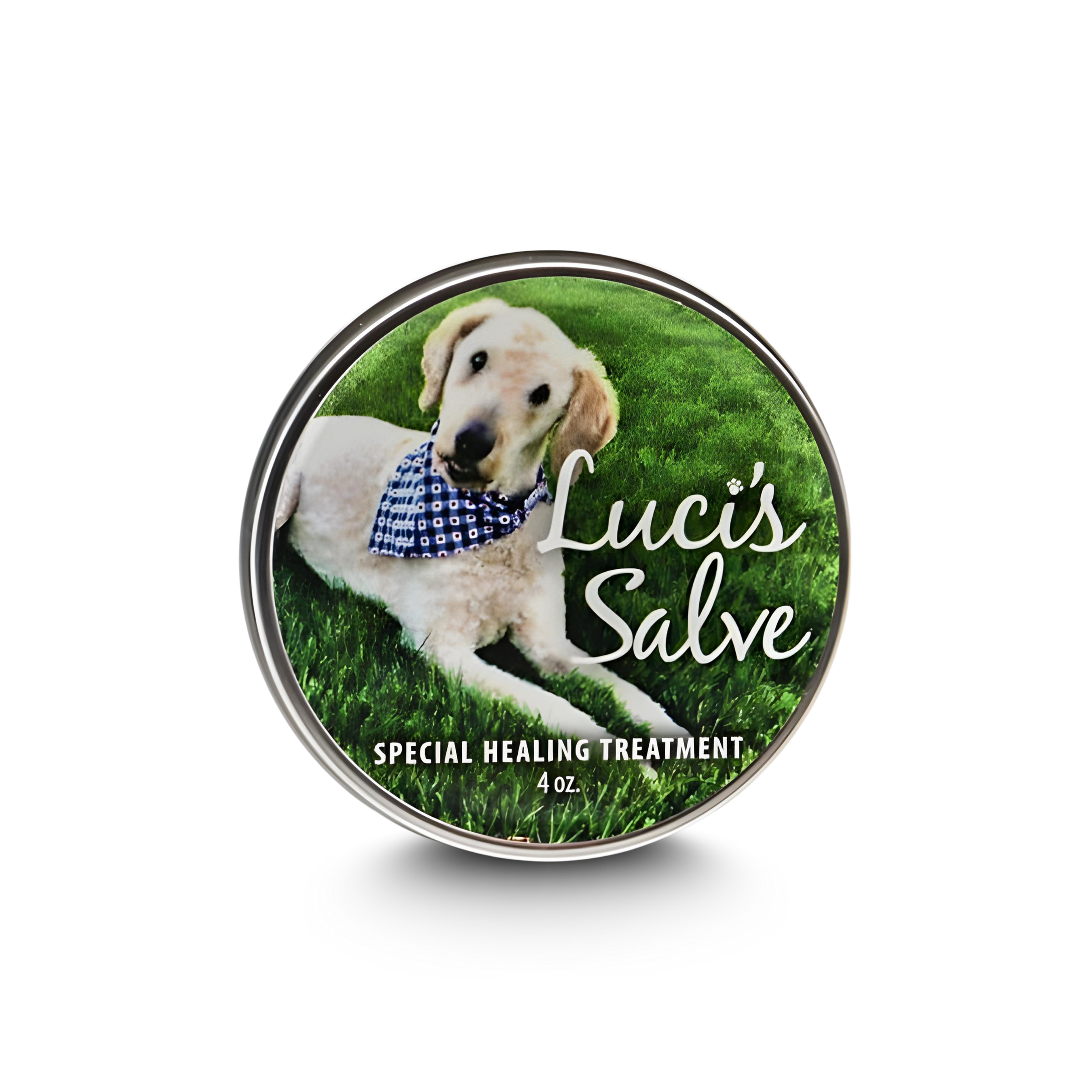Luci's Salve