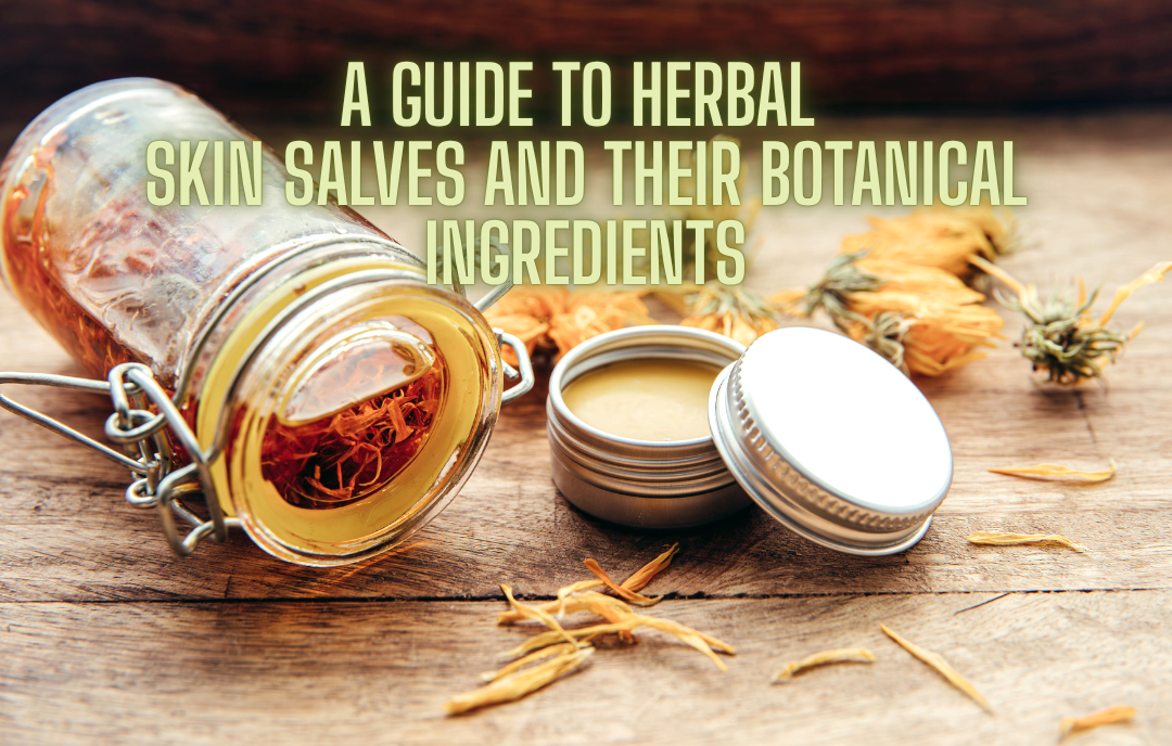 Herbal Skin Salves: Botanical Care for Everyday Skin