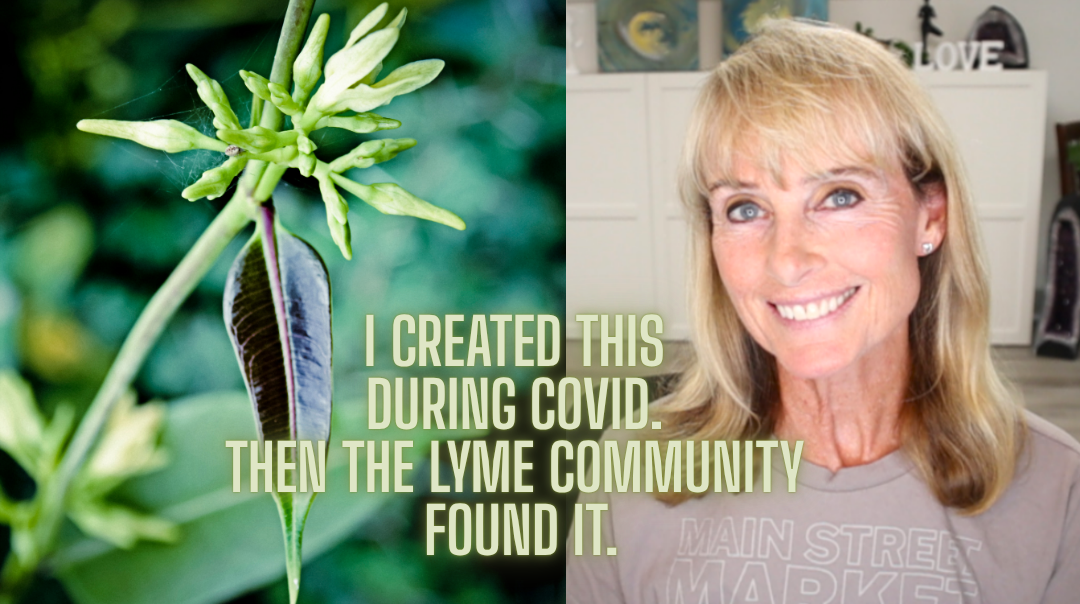 I Didn’t Set Out to Make a Lyme Formula…