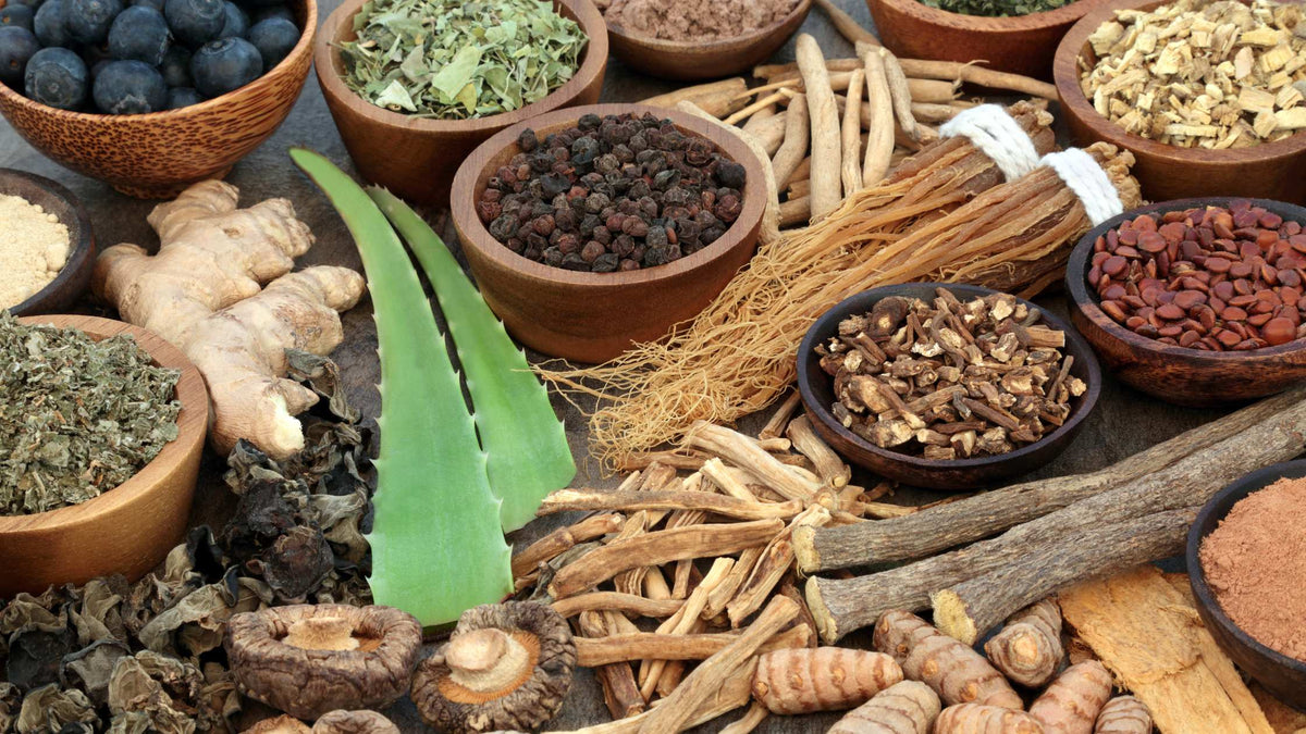 Understanding Adaptogens: Nature's Stress Relievers