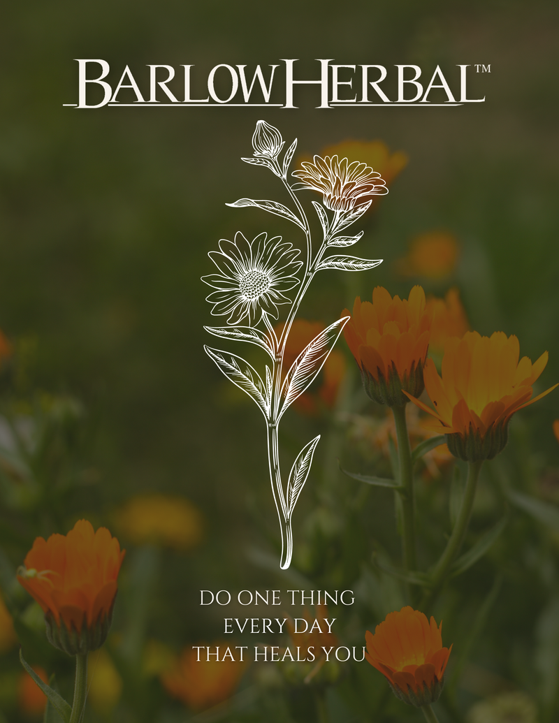 Barlow Herbal Catalog - PDF